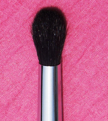 Blending Makeup Brush for Professionals